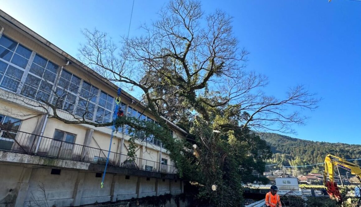 LINE_ALBUM_上野工業　八代市坂本町_230311_18
